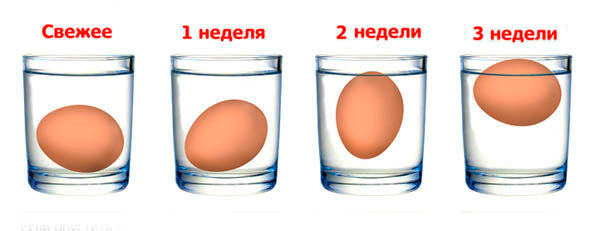 9 фактов про яйца, которые полезно знать каждому